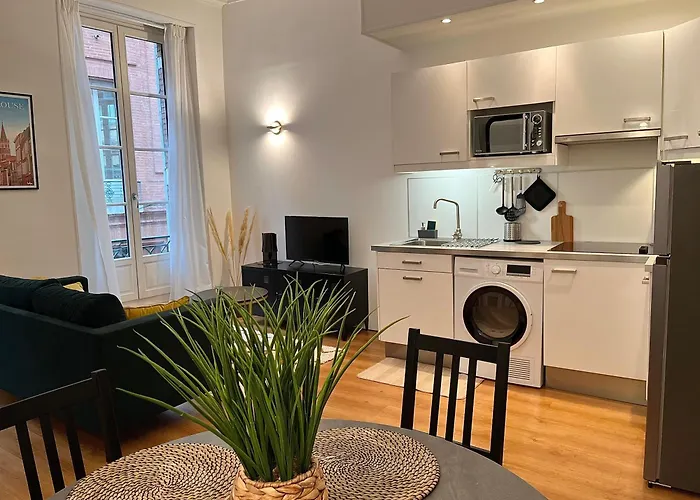 Les Carmes - Centre Ville Toulouse