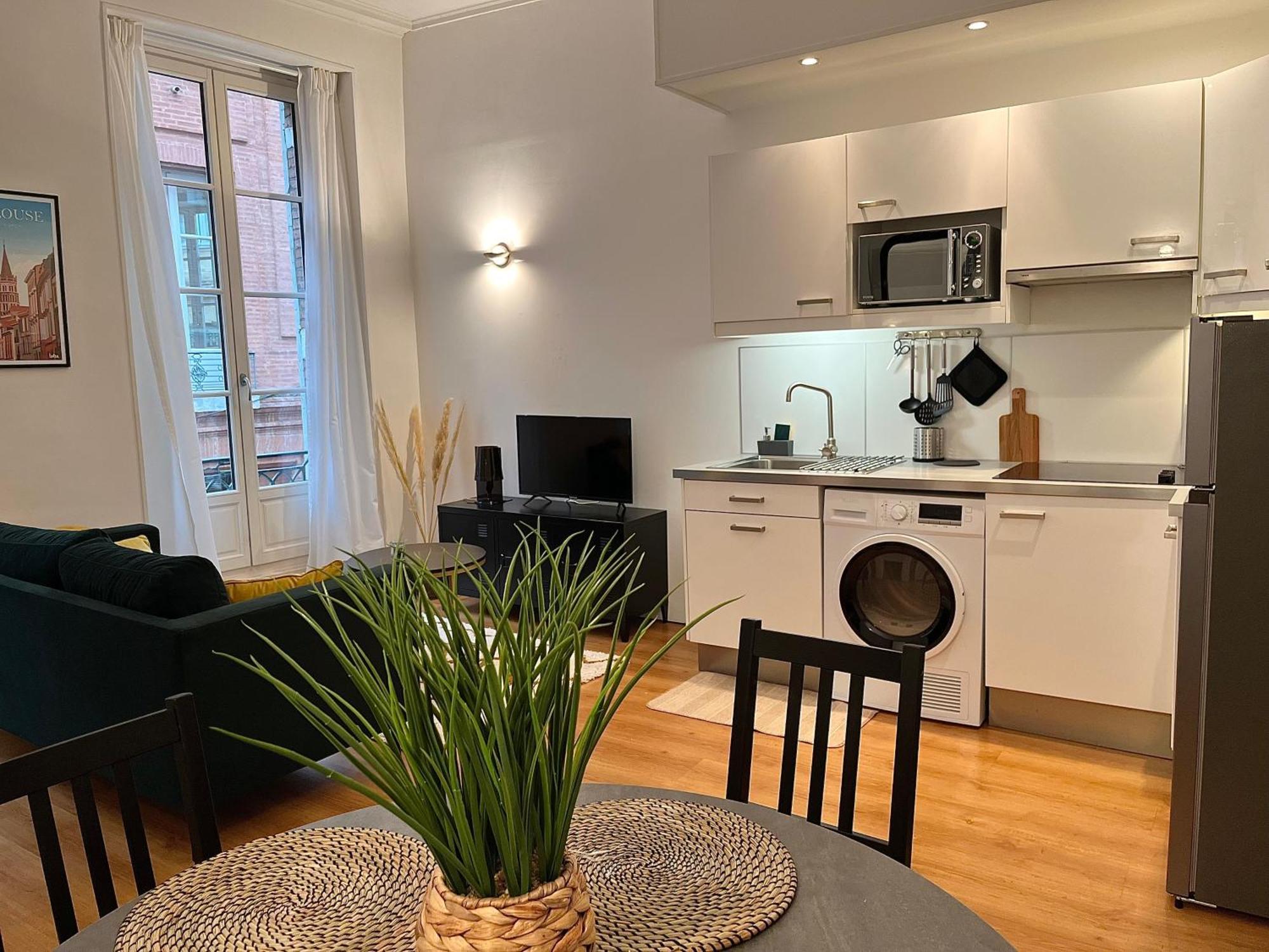Les Carmes - Centre Appartement